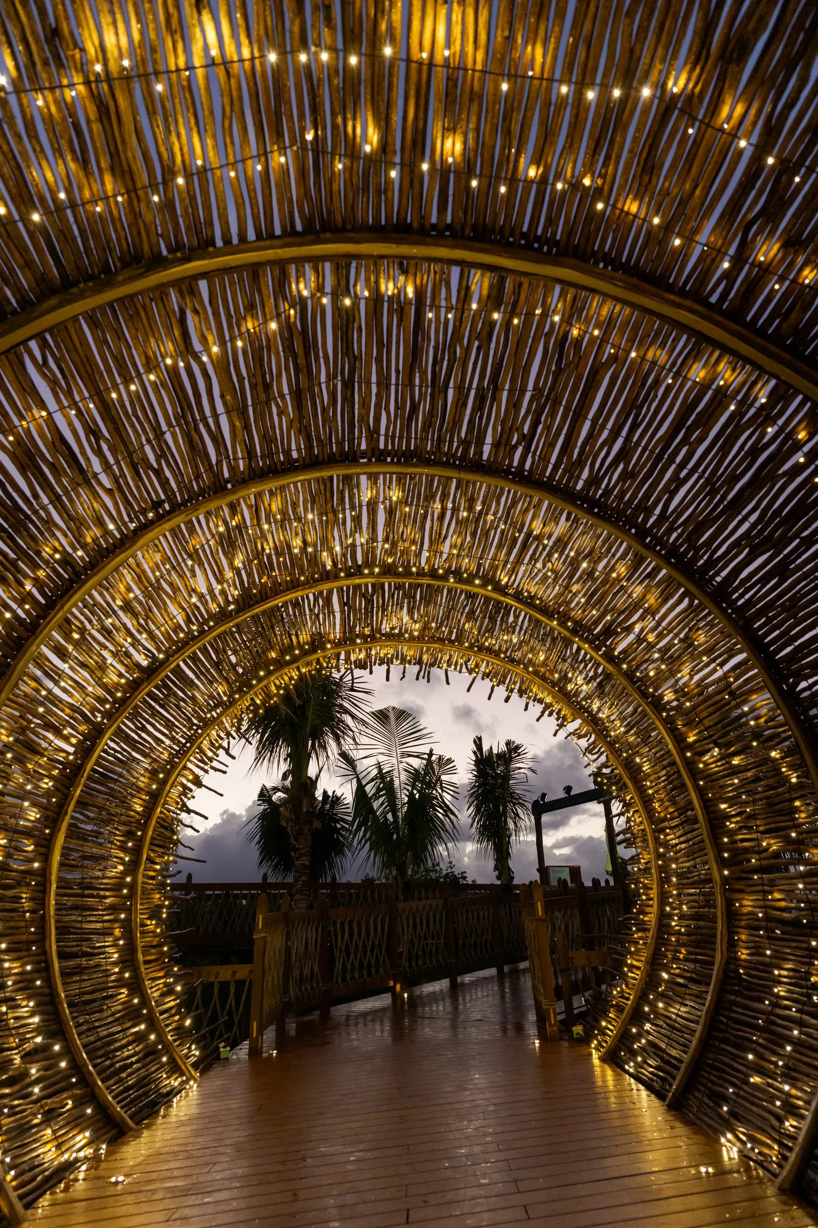 Túnel decorativo de varas de madera con luces cálidas entrelazadas, con vista a palmeras y un cielo nublado al atardecer.