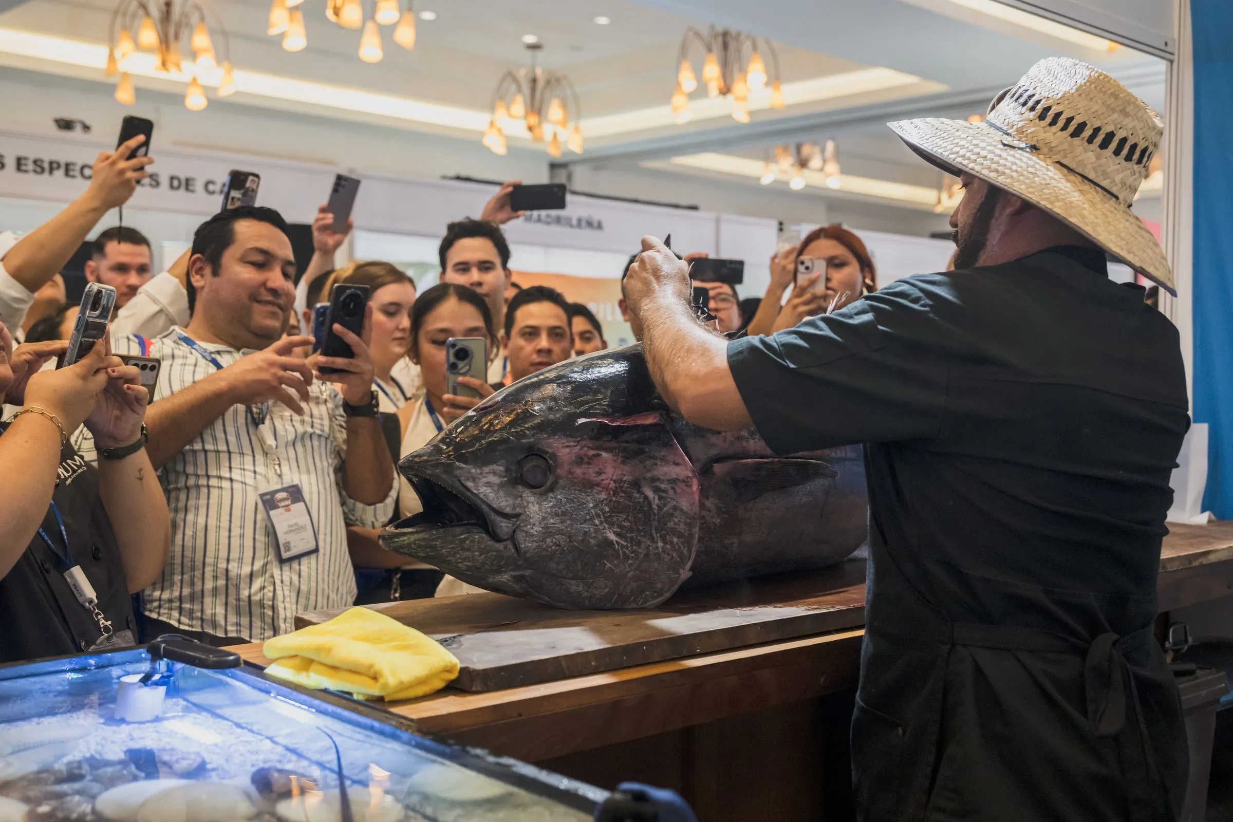 Cobertura de expo gastronómica en Cancún: corte de atún ante los asistentes